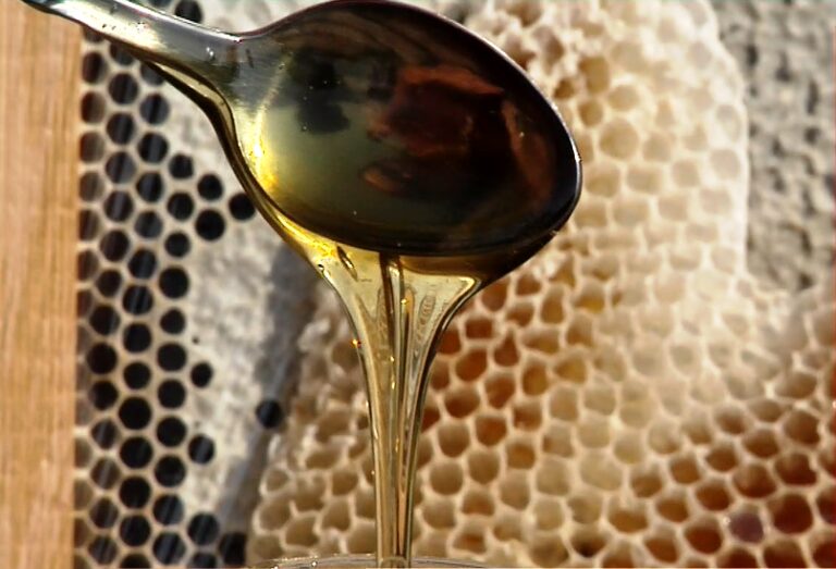 Από τα λουλούδια στο βάζο μας: Η συναρπαστική διαδικασία των μελισσών