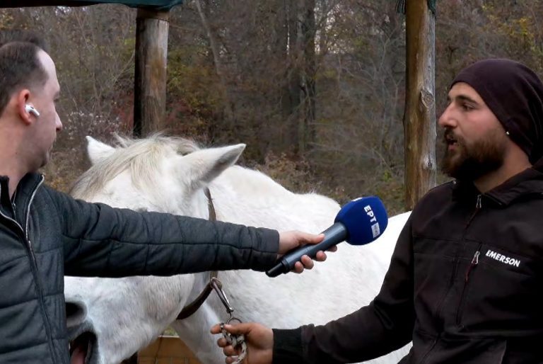 Ένας από τους τελευταίους πεταλωτές – Κρατά ζωντανή μια παράδοση που σβήνει