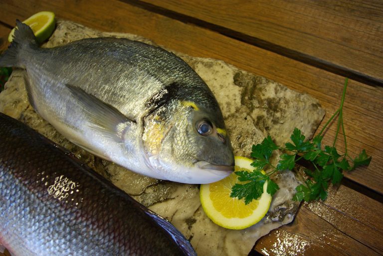 Θεσσαλονίκη: Ψαράς έβγαλε δίκιλη τσιπούρα μπροστά στη Νέα Παραλία (video)