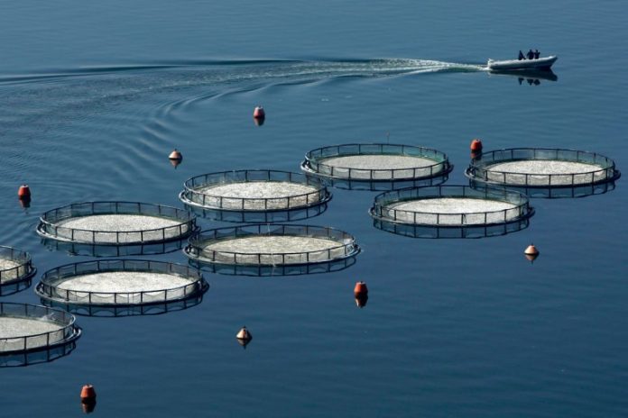 Έρχονται 7 Προσκλήσεις για Αλιεία και Υδατοκαλλιέργεια: Αναλυτικές Πληροφορίες