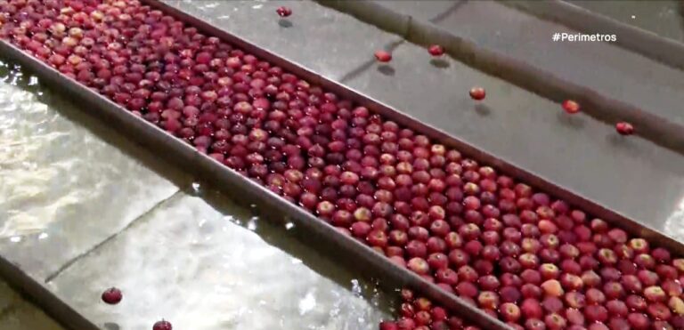 Ανακύκλωση Νερού από τον Συνεταιρισμό Ζαγοράς Πηλίου: Ένα Πρωτοποριακό Βήμα