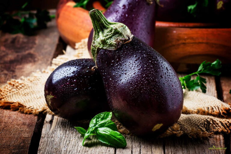 Ρεκόρ Εξαγωγών Μελιτζάνας στην ΕΕ – Καταγράφεται Άνοδος για το 2024