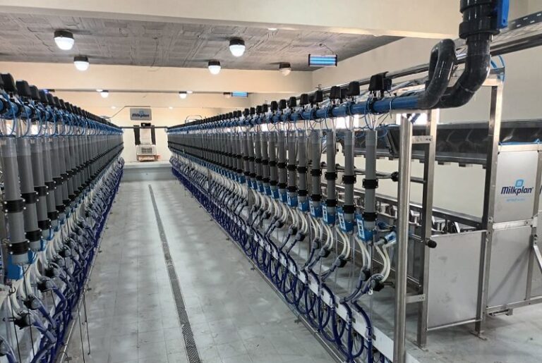 Milkplan: Νέα Έργα Εντός και Εκτός Ελλάδας που Εντυπωσιάζουν