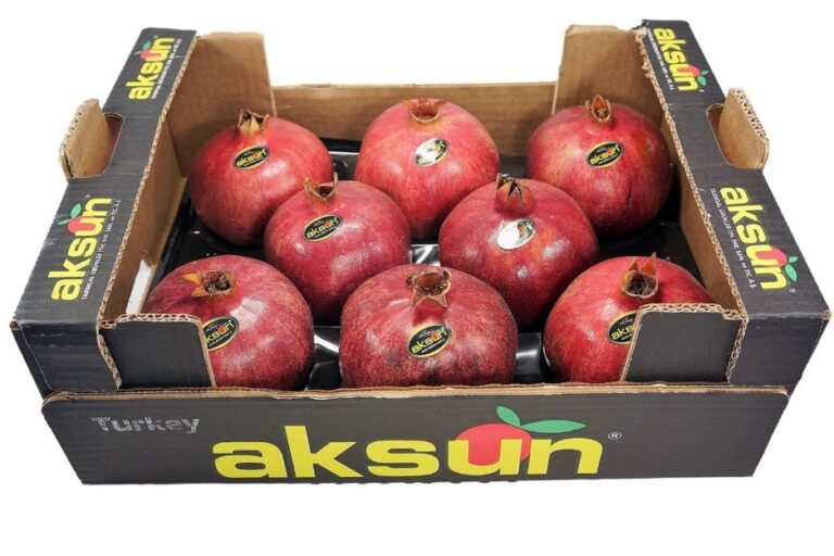 Θετικό Έτος για τα Τουρκικά Εσπεριδοειδή και Ρόδια