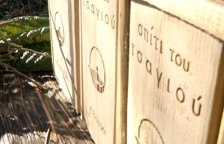 Κρηνίδα Σερρών: Το μοναδικό σπίτι του τσαγιού στην Ελλάδα (ΒΙΝΤΕΟ)