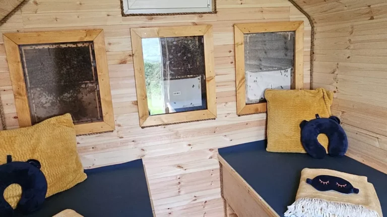 Θεραπεία με Κρεβάτια Μελισσών: Η Νέα Τάση Ευεξίας στην Ιρλανδία