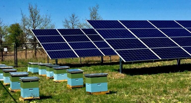 Φωτοβολταϊκά στο χωράφι: Από παράταση σε παράταση το πρόγραμμα