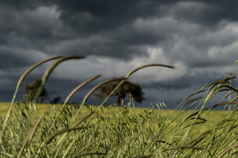 Έρχεται Ψυχρό Κύμα: Κίτρινη Προειδοποίηση για Ήπειρο και Θεσσαλία