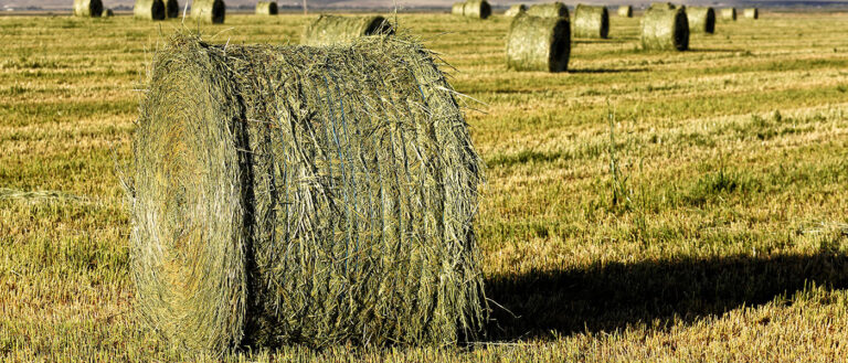 «Μαύρο Πάσχα για αγρότες-κτηνοτρόφους – Εκτεθειμένος ο Υπουργός»