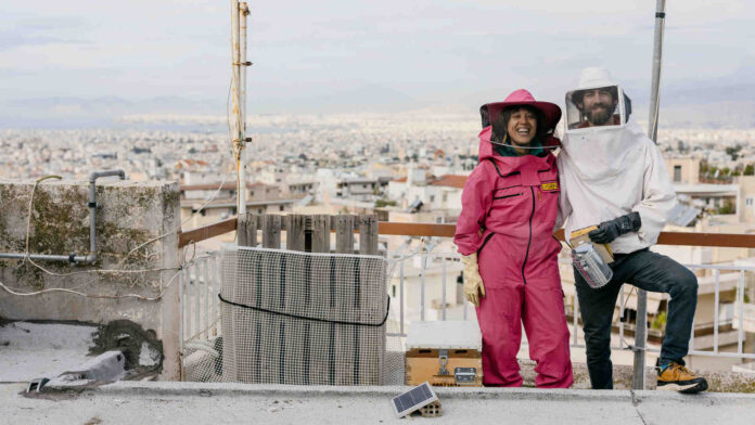 Μελίσσια στην ταράτσα: οι αστικοί μελισσοκόμοι της Αθήνας