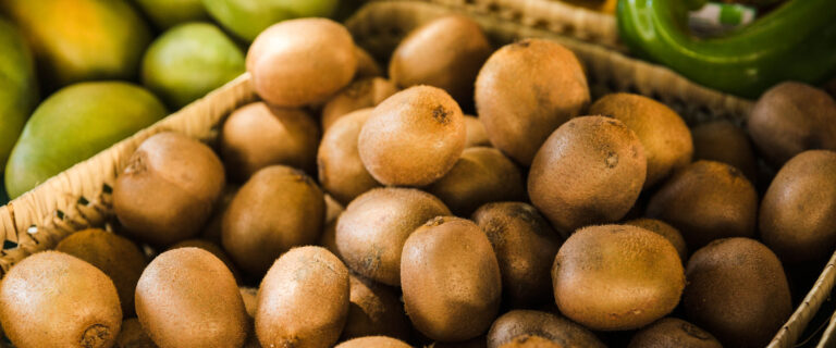 Σε ανοδική τροχιά οι εξαγωγές ακτινιδίων στις αρχές της περιόδου 2024/2025