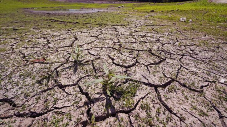 Ανομβρία στις αρχές του 2025: Σοβαρές ανησυχίες για τις επόμενες σοδειές