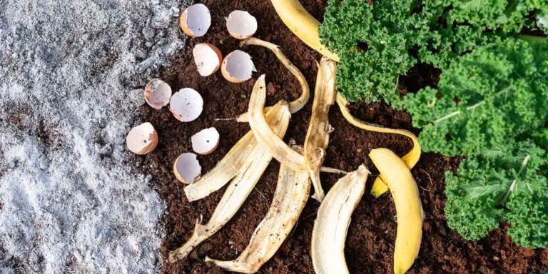 Φτιάξτε Μόνοι σας Υγρό Λίπασμα για τον Κήπο σας