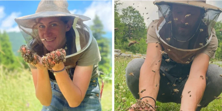 Το ζευγάρι μηχανικών που παράτησε τη ζωή στο Λονδίνο για να γίνουν Μελισσοκόμοι