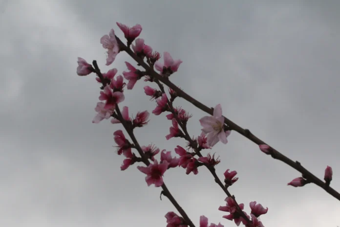 Μάρτης... γδάρτης ο καιρός