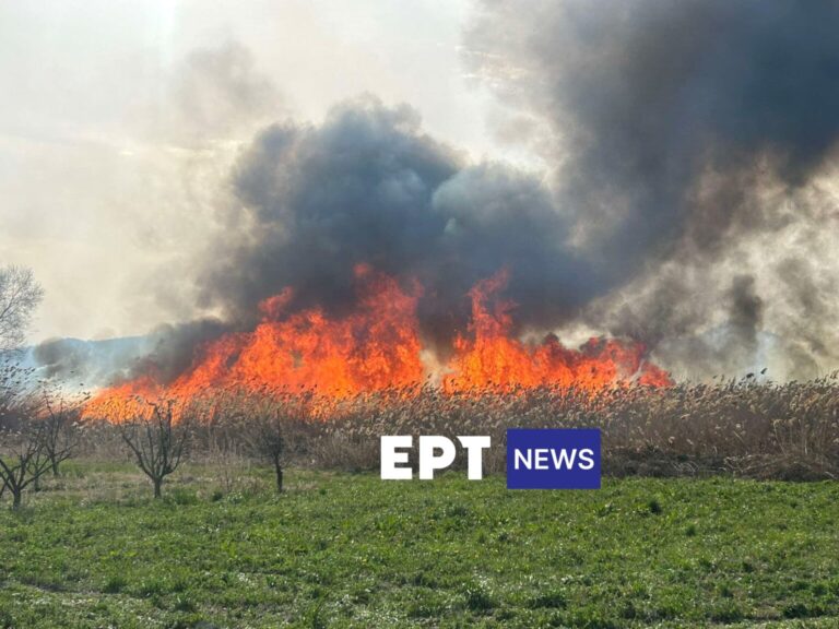 Μάχη με τις φλόγες στην Καστοριά – Έξι τα ενεργά μέτωπα