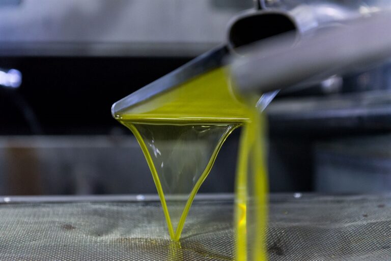 Τιμή ελαιολάδου: Νέα πώληση από τον ΑΕΣ Αγ. Αποστόλων στα 7,85 ευρώ – Πού κινείται η αγορά