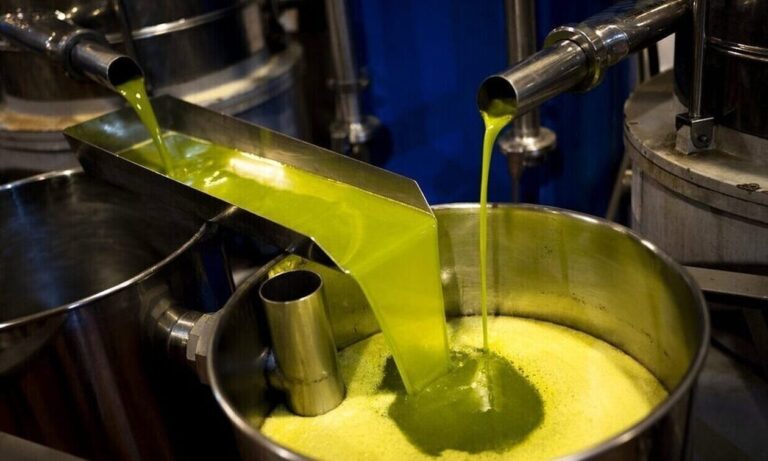 «Έσπασε» τα Κοντέρ το Ελαιόλαδο: Στα 7,85 ευρώ το Κιλό «Έκλεισε» η Πρώτη Μεγάλη Δημοπρασία της Χρονιάς στη Λακωνία!