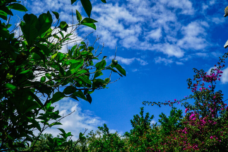 Καιρός: Αίθριος με σκόνη και άνοδος της θερμοκρασίας