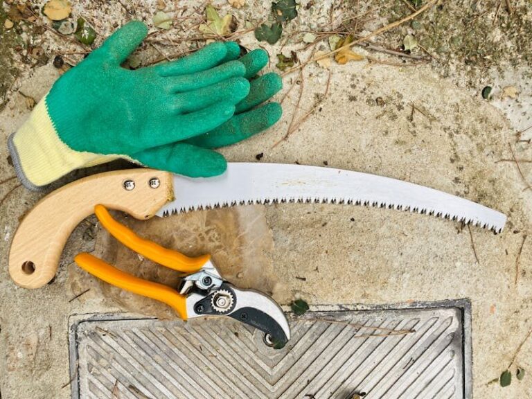 Πώς καθαρίζουμε και απολυμαίνουμε τα εργαλεία κλαδέματος