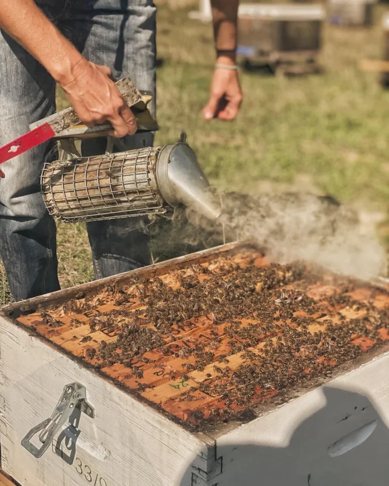 «Κόντρα» στη Βουλή για τους Απλήρωτους Μελισσοκόμους του Daniel – Ανταλλαγή Πυρών μεταξύ Κέλλα και Κόκκαλη
