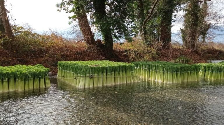 Στόχος το ΠΟΠ/ΠΓΕ για Πράσο Δωροθέας & Πιπεριά Αλμωπίας: Στο «μικροσκόπιο» των Ερευνητών