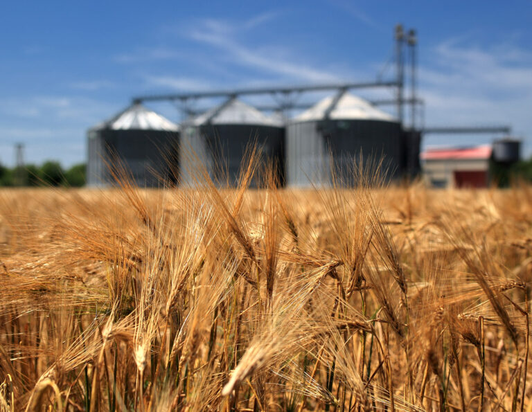 Τα αγροτικά εμπορεύματα κινήθηκαν πτωτικά τον Ιούνιο – Αντιστάθηκαν ρύζι και σιτάρι