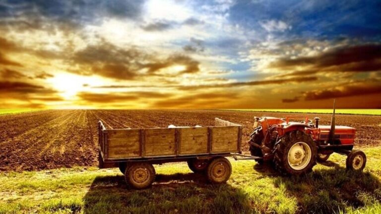 Βόμβα από Υπουργό ΑΑΤ: «Το 50% στα Βιολογικά δεν Πληροί τις Προϋποθέσεις» – Παγώνουν Πληρωμές