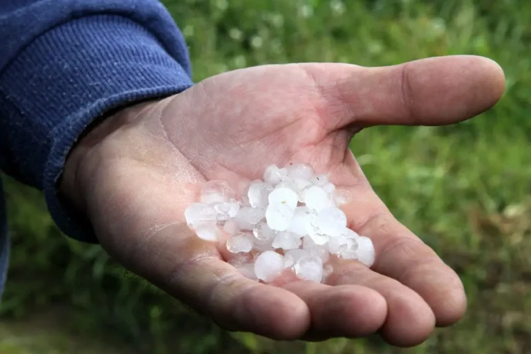 Αντιχαλαζική Προστασία: «Κλειδώνουν» χωράφια; Η ΕΘΕΑΣ ζητά ευελιξία και αύξηση προϋπολογισμών