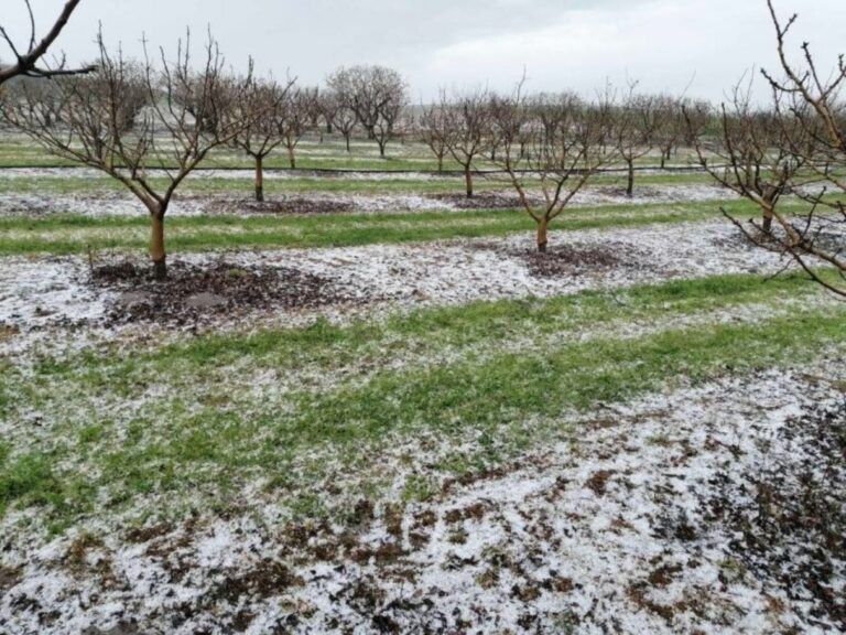 Χαλάζι και δυνατή βροχή προκάλεσαν ζημιές σε καλλιέργειες στη Θεσσαλία