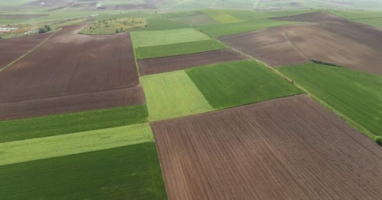 Ο «Μεγάλος Αδελφός» των φυτοφαρμάκων «σαρώνει» τις επιδοτήσεις – Στο στόχαστρο χιλιάδες ΑΦΜ