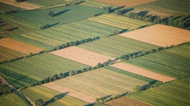 «Άδειασμα» Χάνσεν στην Κυβέρνηση για το ΑΤΑΚ: «Η Ελλάδα Επιλέγει τα Μέτρα Ελέγχου, Όχι Εμείς» – Στην Ευρωβουλή το Φιάσκο