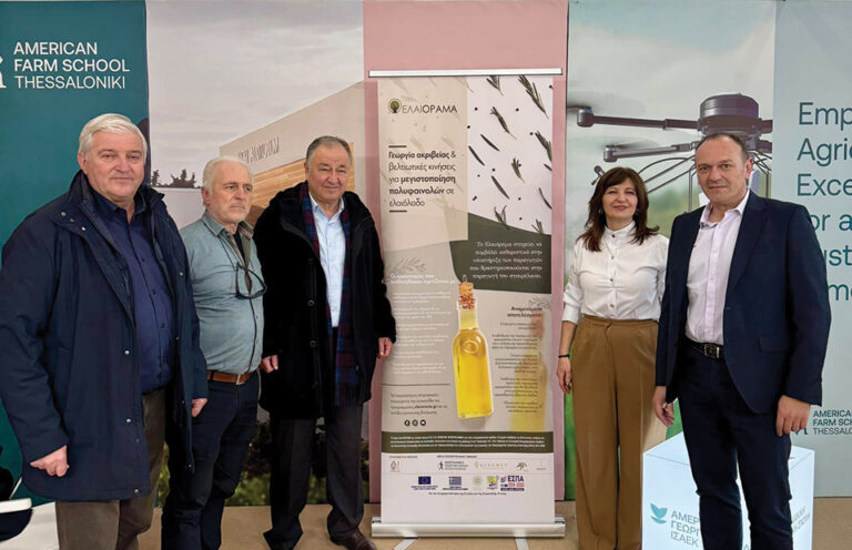 Μια ιστορία αγάπης και ελαιολάδου με πρωταγωνιστές ένα ζευγάρι και 8.000 αιωνόβιες ελιές