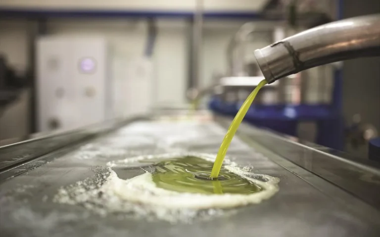 Ελαιόλαδο: «Βουτιά» κάτω από 5€ για το περσινό, άκαρπη η δημοπρασία για το φρέσκο – Αγορά σε αναμονή