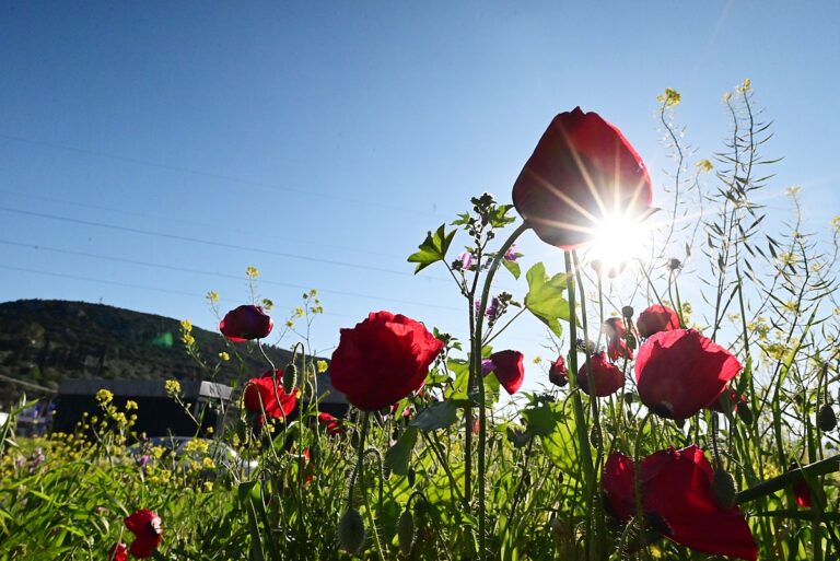 Καιρός: Με καλοκαιρία και σχετικά υψηλές θερμοκρασίες το πρώτο δεκαήμερο του Ιουνίου
