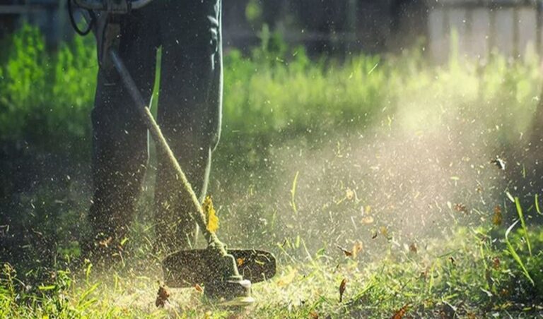 Υποχρεωτικός καθαρισμός οικοπέδων έως 30 Απριλίου – Τσουχτερά πρόστιμα