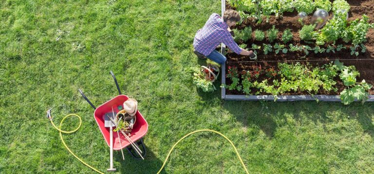 Εργασίες στον κήπο τον Απρίλιο: Οδηγός για έναν ανθισμένο και παραγωγικό κήπο