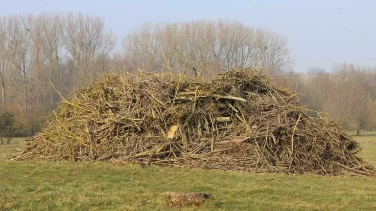 «Η καύση μειώνει το κόστος 50% και ωφελεί την καλλιέργεια»: Η θέση του ΥΠΑΑΤ που προκάλεσε «πυρκαγιά» αντιδράσεων