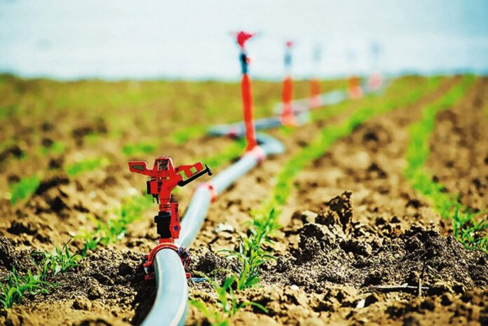 Συναγερμός στη Θεσσαλία: Στέγνωσαν τα Κανάλια Άρδευσης, σε Κίνδυνο οι Καλλιέργειες