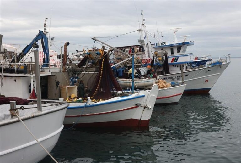 ΥΠΑΑΤ: 15,9 εκ. € σε παράκτιους αλιείς για ζημιές από προστατευόμενα είδη