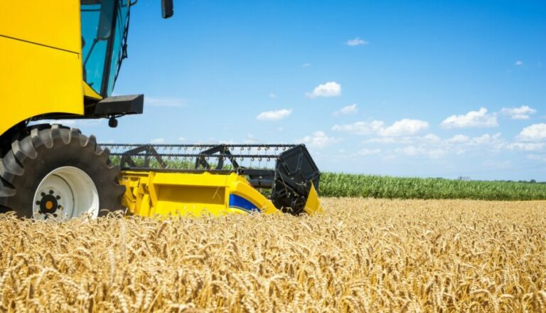 Τιμές αγοράς σιτηρών από τον Αγροτικό Συνεταιρισμό Δημητριακών Ορεστιάδας «Η ΕΝΩΣΗ»