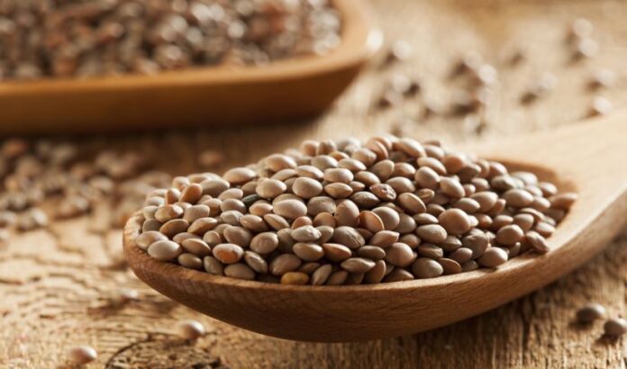 Συνδεδεμένες ενισχύσεις 2025: 32,8€/στρ. για όσπρια