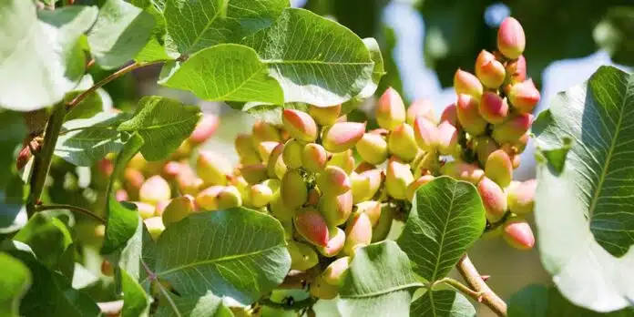 Με 400€ πληρώθηκε το κελυφωτό στην Αν. Αττική – Μικρότερη αποζημίωση στη Δυτική στο Μέτρο 23