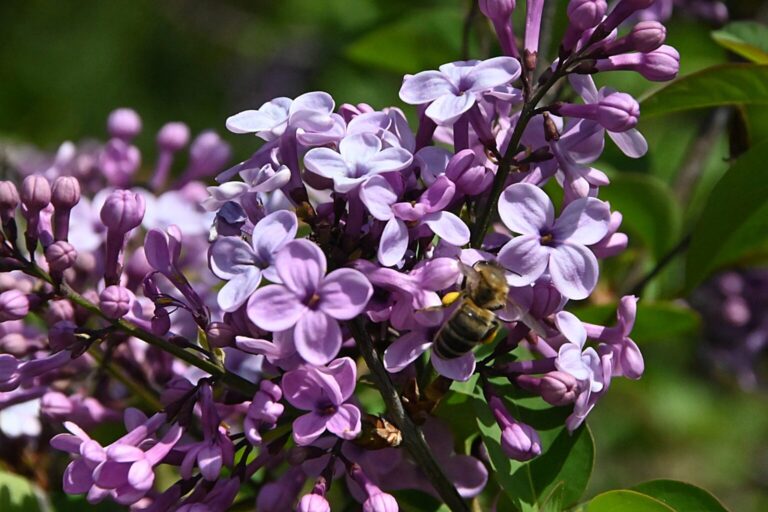 Καιρός: Βελτίωση του καιρού με σταδιακή άνοδο της θερμοκρασίας 