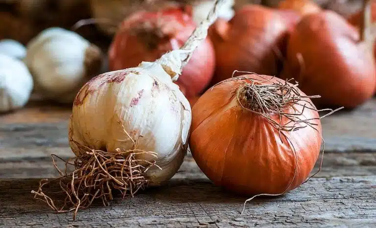 Φλούδες κρεμμυδιού: Μείωση μεθανίου και βελτίωση ζωοτροφών στις αγελάδες