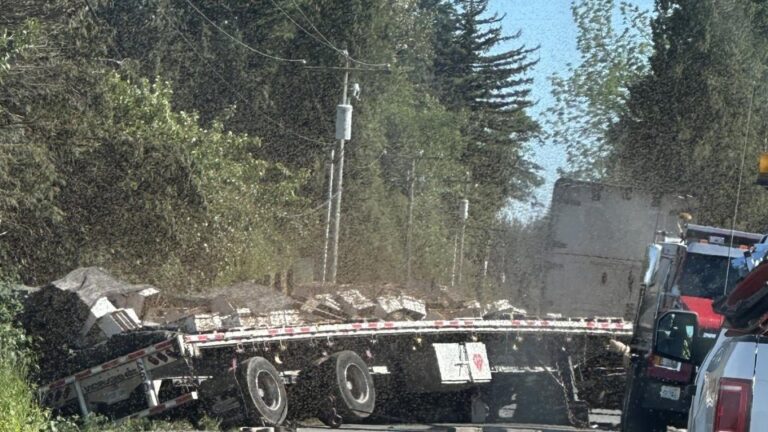 Πανικός: 250 εκατ. μέλισσες ελεύθερες μετά από ανατροπή νταλίκας