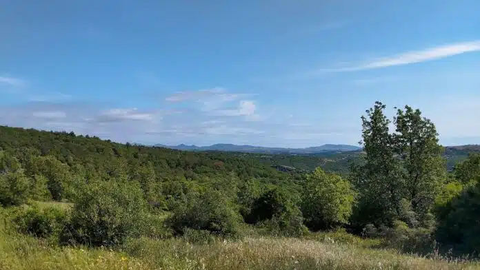 Αλεξανδρούπολη: 115.495 ευρώ για αντιπυρική θωράκιση 17 οικισμών- Χρηματοδότηση από το Πράσινο Ταμείο