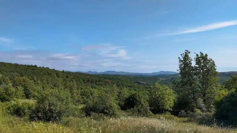 Αλεξανδρούπολη: 115.495 ευρώ για αντιπυρική θωράκιση 17 οικισμών- Χρηματοδότηση από το Πράσινο Ταμείο