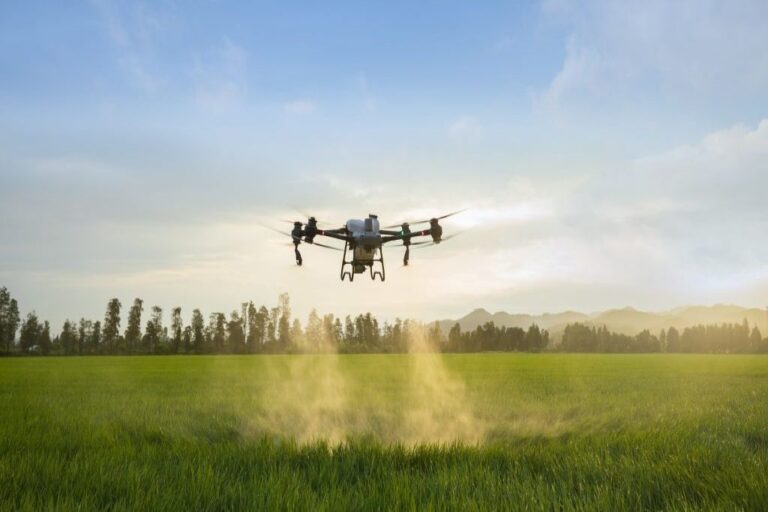 Ψηφιακό ημερολόγιο ψεκασμών: Έρχεται υποχρεωτικά για όλους τους αγρότες