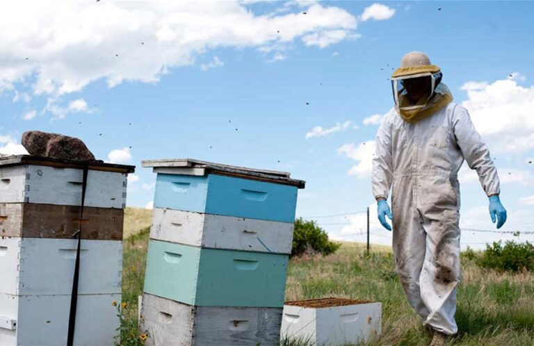 Ηλεκτρονικό Μελισσοκομικό Μητρώο: Ημερίδα στη ΔΑΟΚ Ανατολικής Αττικής για τις νέες ψηφιακές υποχρεώσεις – Πού και πότε